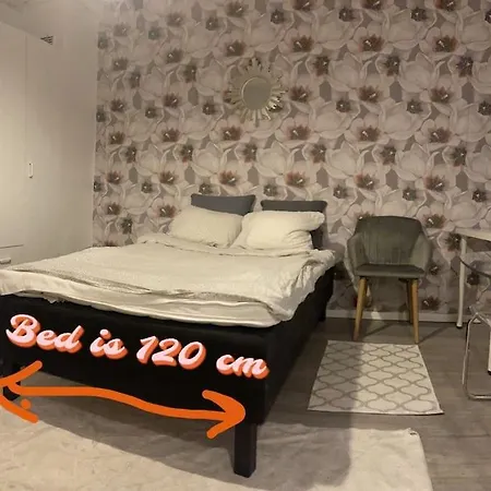 Apartment Yksioe 1,5 Km Kupittaalta / 3 Km Turun Keskustasta *