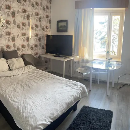 Yksioe 1,5 Km Kupittaalta / 3 Km Turun Keskustasta * Turku