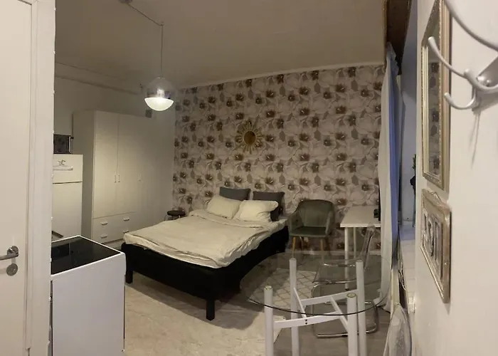 Yksioe 1,5 Km Kupittaalta / 3 Km Turun Keskustasta Διαμέρισμα Τούρκου