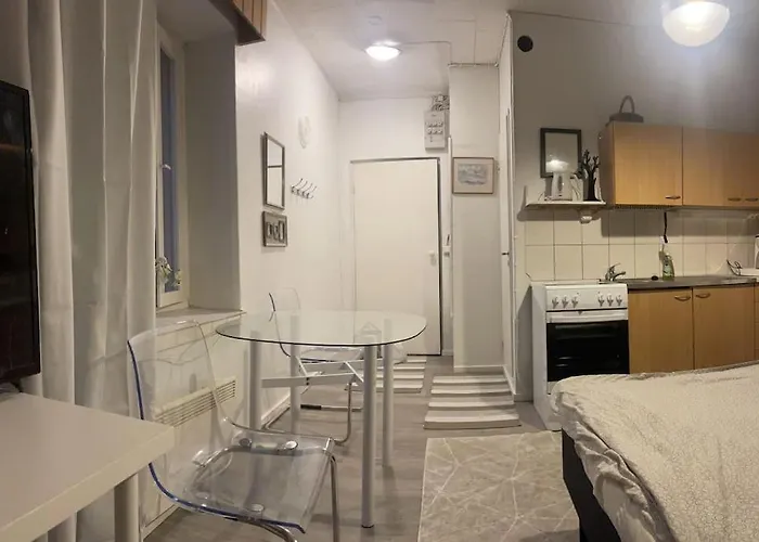 Yksioe 1,5 Km Kupittaalta / 3 Km Turun Keskustasta *