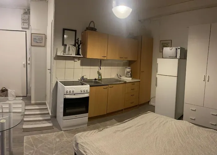 Yksioe 1,5 Km Kupittaalta / 3 Km Turun Keskustasta *